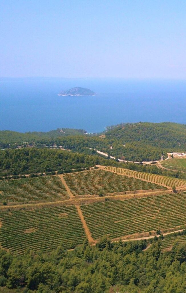 Domaine Porto Carras – Sithonia