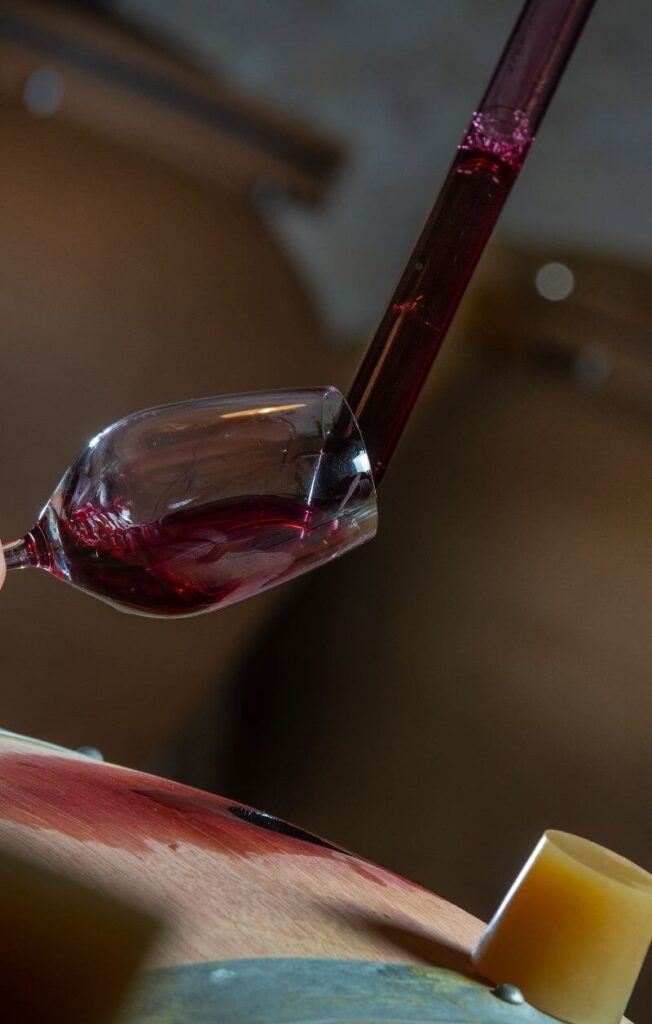 Domaine Porto Carras – Sithonia