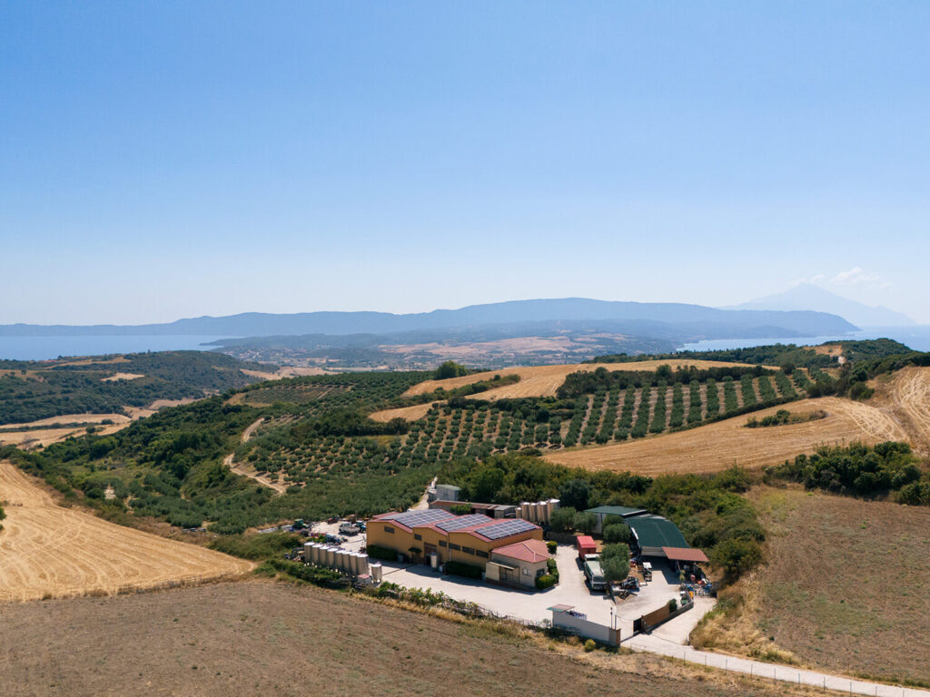 Domaine Agrovision – Ierissos
