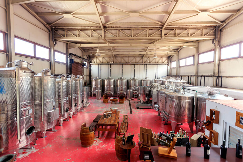 Domaine Agrovision – Ierissos
