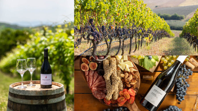 Halkidiki Wine Guide - The 18 Best Wineries to Visit