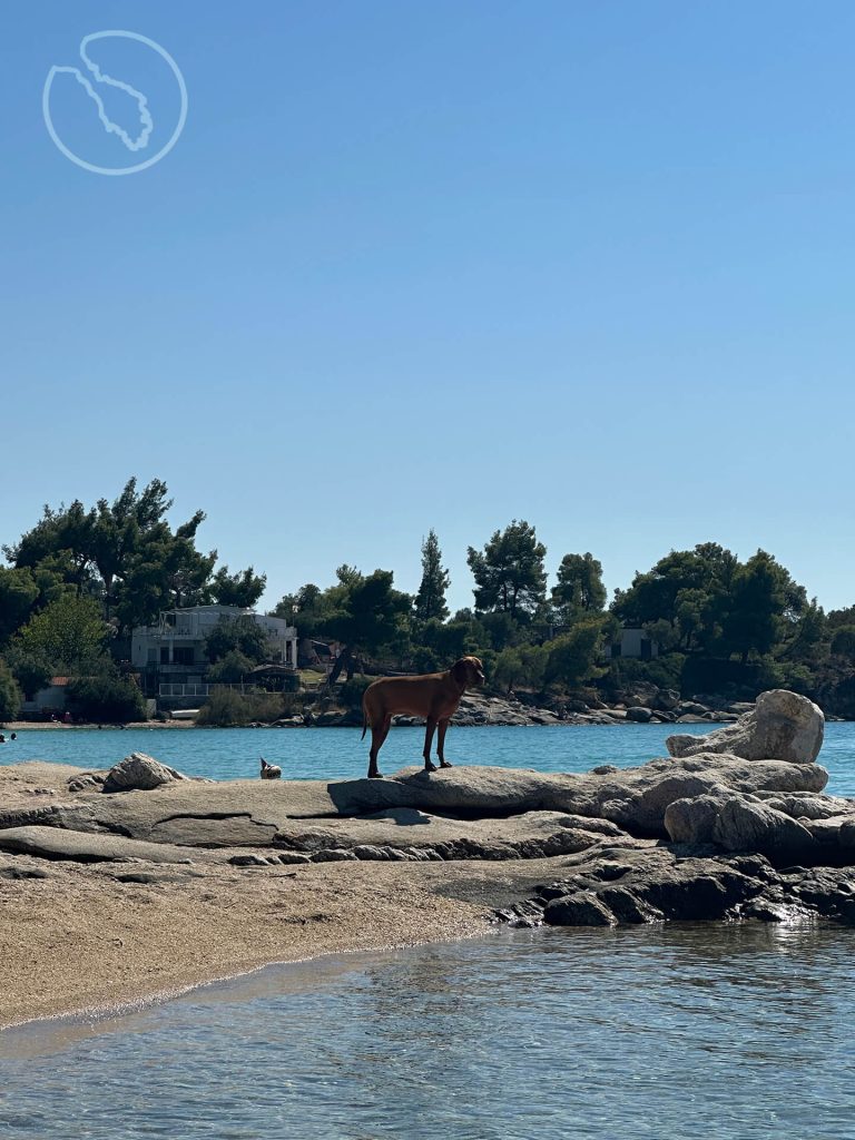 kalogira beach sithonia greece