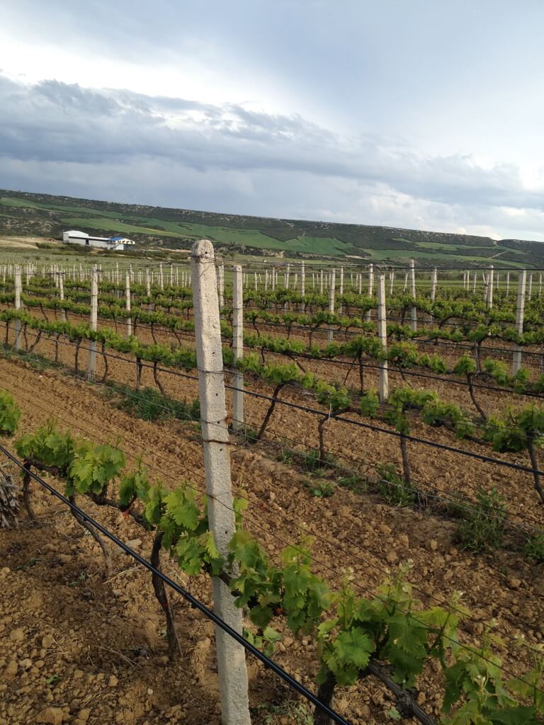 Ktima Iatridis Estate