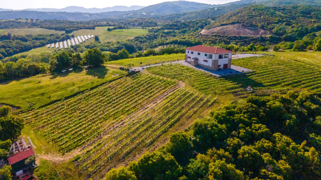 Ktima Tarazas - Tarazas Winery