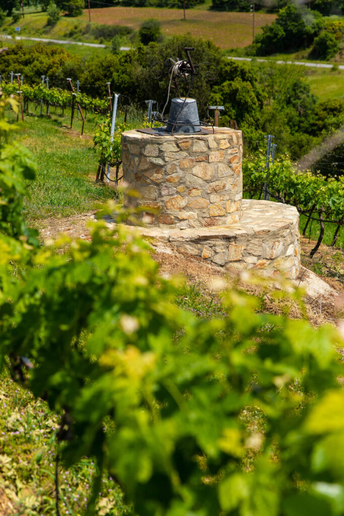 Ktima Tarazas - Tarazas Winery
