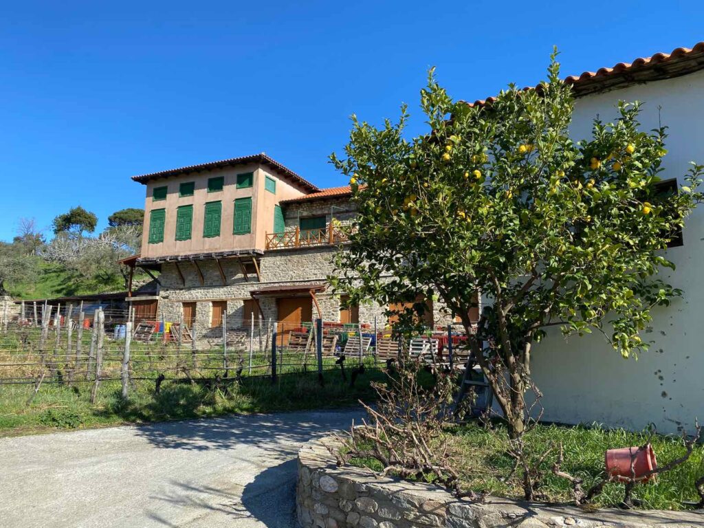 Mylopotamos Winery – Mount Athos