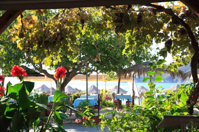 Top 5 Taverns in Sithonia Recommended by Locals