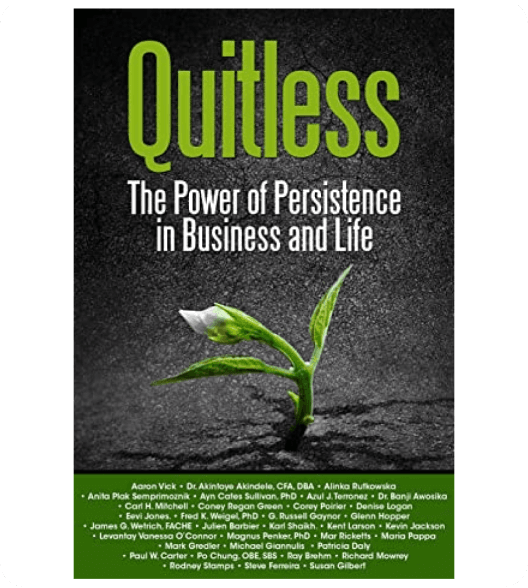 Quitless - The power of persistence in business and life by Akintoye Akindele